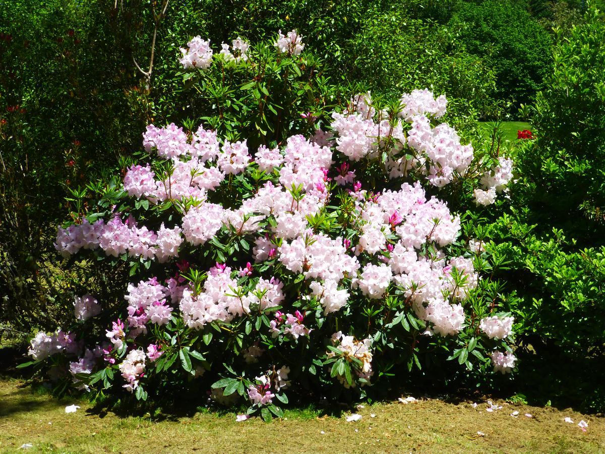 Acacia Heights Gardens Villa Taupo Bagian luar foto