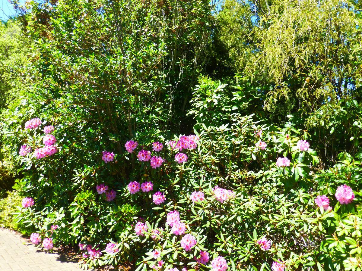 Acacia Heights Gardens Villa Taupo Bagian luar foto